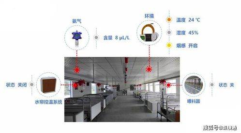 生豬養殖場的智能監控與控制系統集成應用探討